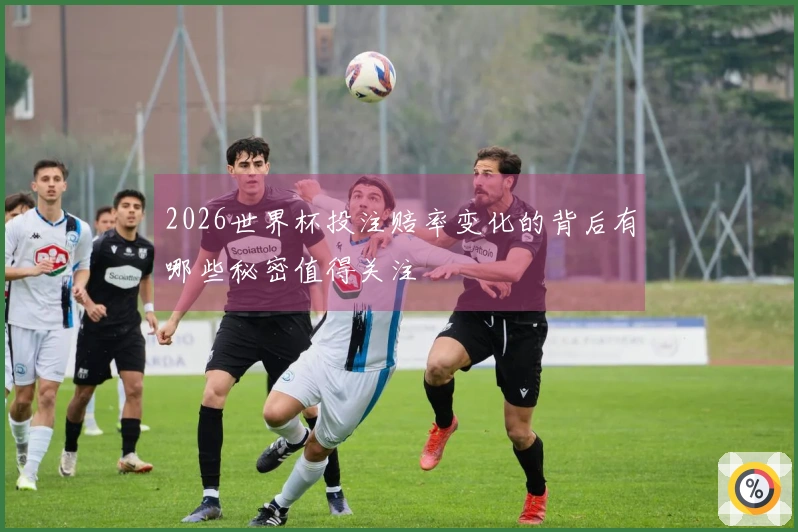 2026世界杯投注赔率变化的背后有哪些秘密值得关注