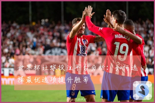 世界杯让球投注平台分析：如何选择最优选项提升胜率