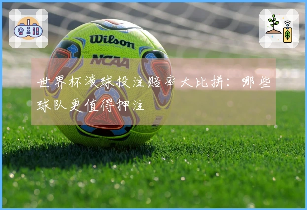世界杯滚球投注赔率大比拼：哪些球队更值得押注