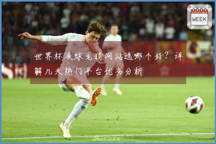 世界杯滚球竞猜网站选哪个好？详解几大热门平台优劣分析
