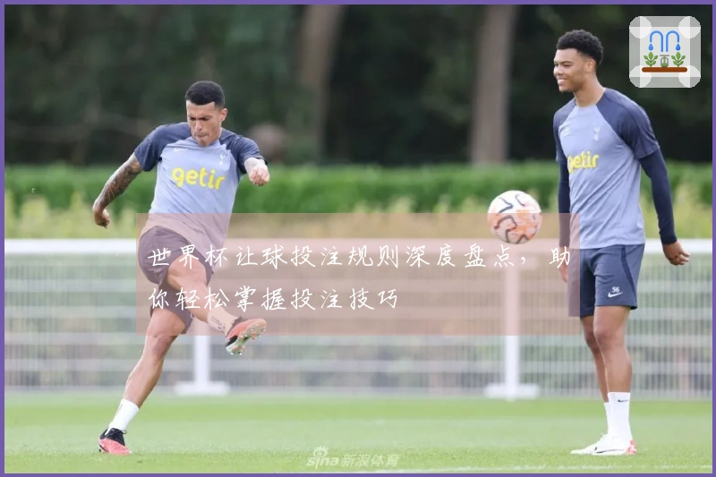 世界杯让球投注规则深度盘点，助你轻松掌握投注技巧