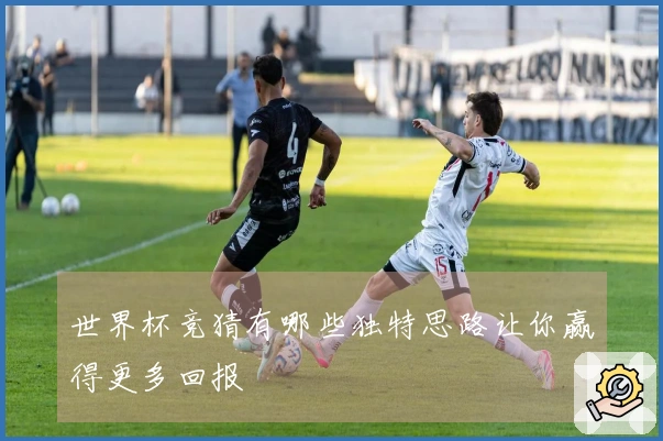 世界杯竞猜有哪些独特思路让你赢得更多回报