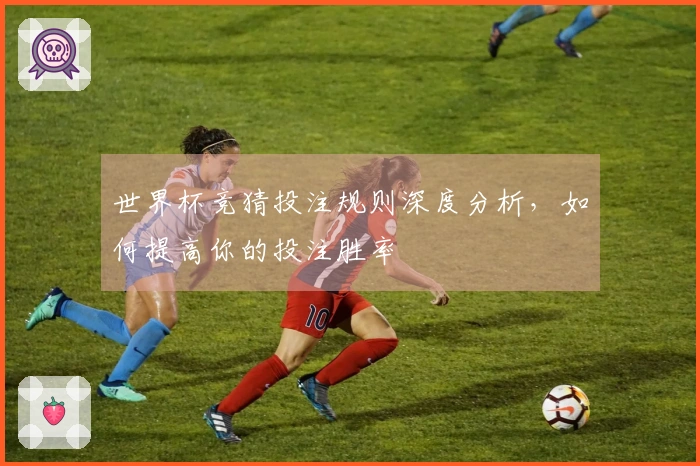 世界杯竞猜投注规则深度分析，如何提高你的投注胜率