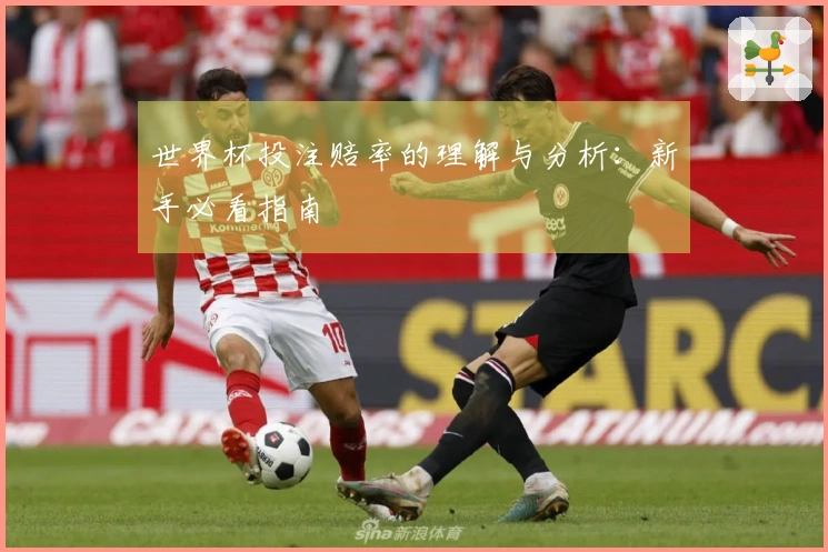 世界杯投注赔率的理解与分析：新手必看指南