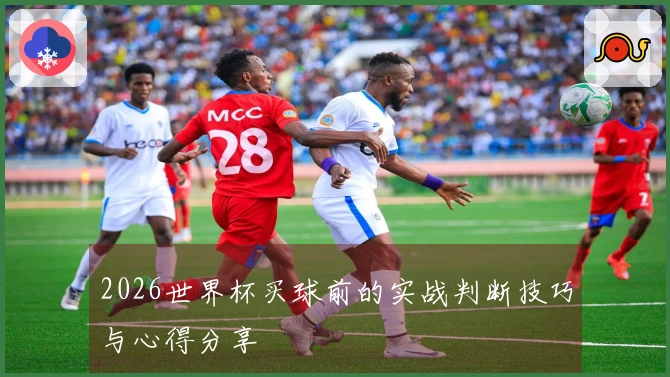 2026世界杯买球前的实战判断技巧与心得分享