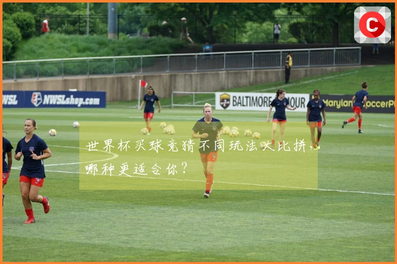 世界杯买球竞猜不同玩法大比拼，哪种更适合你？