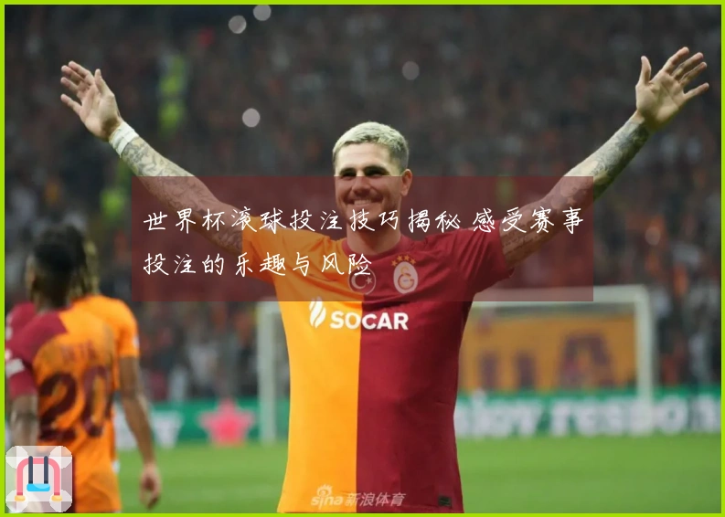 世界杯滚球投注技巧揭秘 感受赛事投注的乐趣与风险