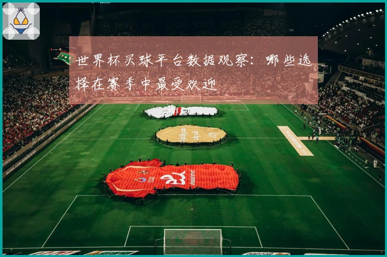 世界杯买球平台数据观察：哪些选择在赛季中最受欢迎