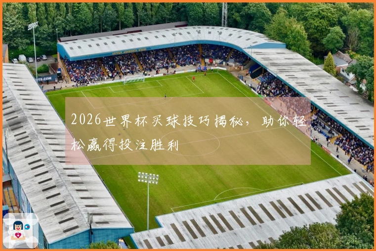 2026世界杯买球技巧揭秘，助你轻松赢得投注胜利