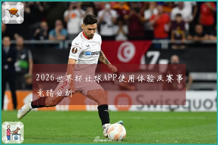 2026世界杯让球APP使用体验及赛事竞猜分析