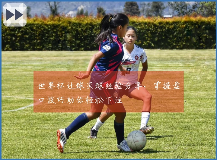世界杯让球买球经验分享，掌握盘口技巧助你轻松下注