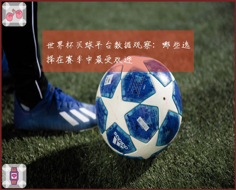 世界杯买球平台数据观察：哪些选择在赛季中最受欢迎