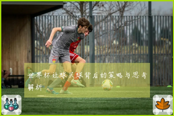 世界杯让球买球背后的策略与思考解析