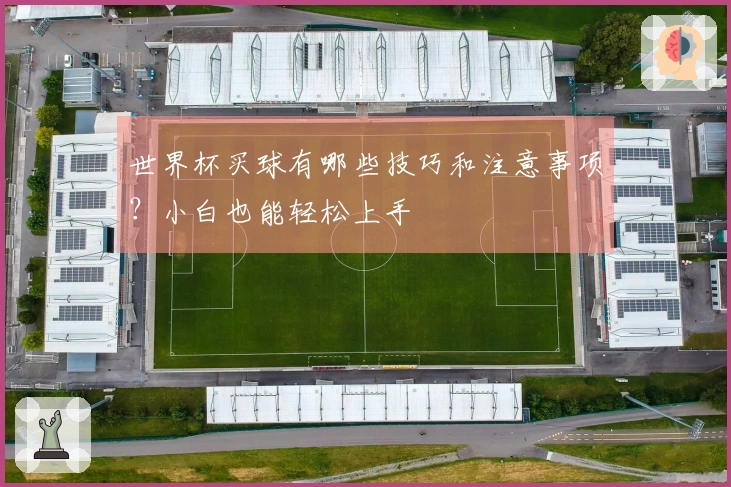世界杯买球有哪些技巧和注意事项？小白也能轻松上手