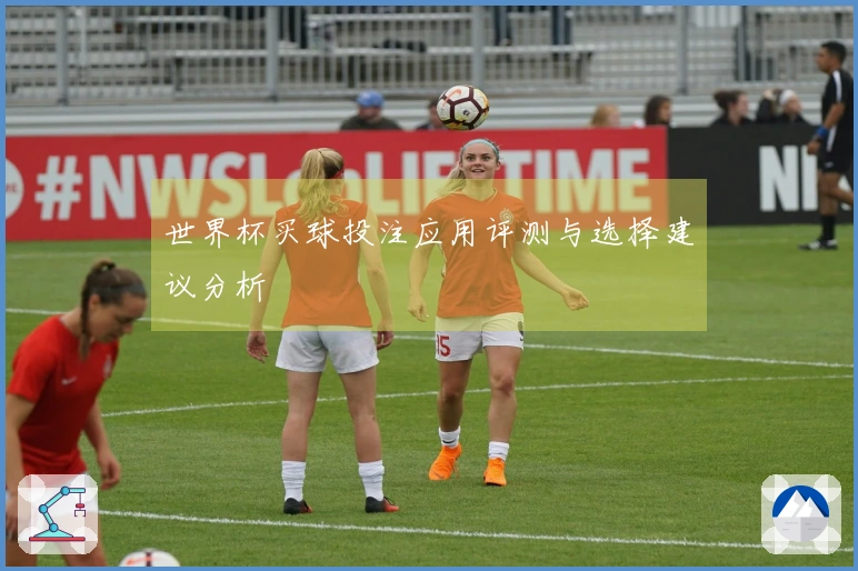 世界杯买球投注应用评测与选择建议分析