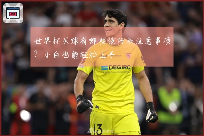 世界杯买球有哪些技巧和注意事项？小白也能轻松上手